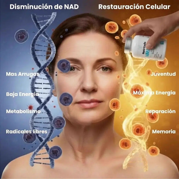 2 SUPLEMENTOS ANTIEDAD NMN + NAD⁺